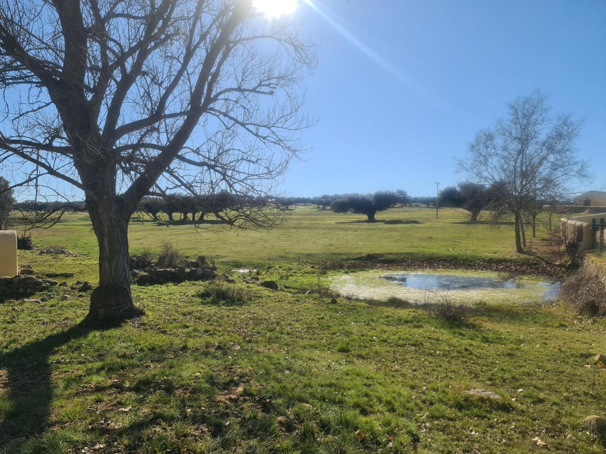 Casa Rural Palacio Conde De Aldana Con Piscina Entre Encinares Y Dehesas Terradillos 외부 사진